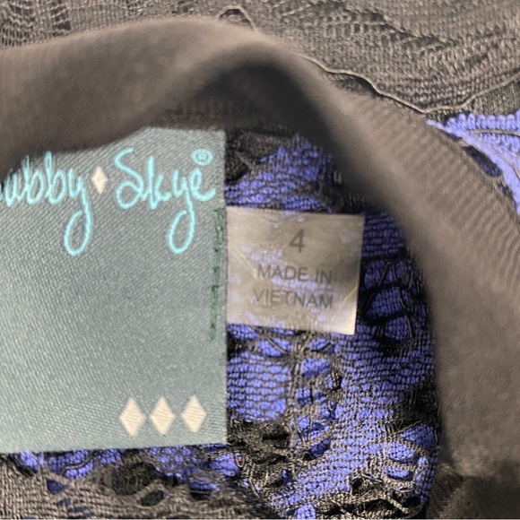 Gabby Skye Dress Size 4 Lace A-Line Long Sleeve‎ Lined Purple/Black Pullover - Picture 3 of 15